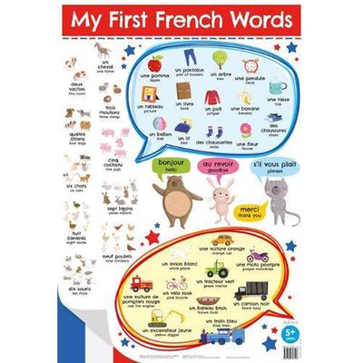 Wall Charts MY FIRST FRENCH WORDS - Sale