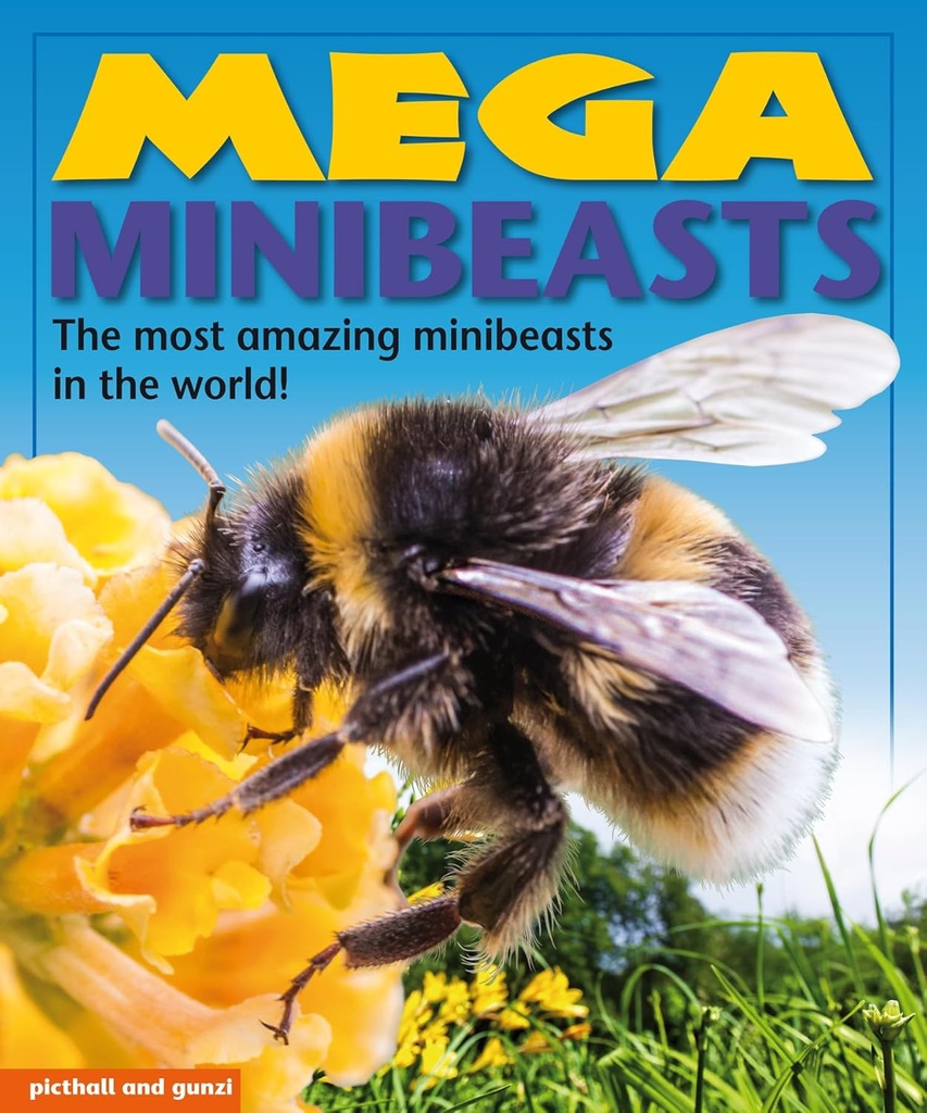 Mega Minibeasts:  Mega Books