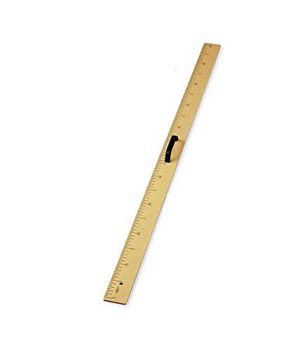 Black Board Rule 100Cm (Board)