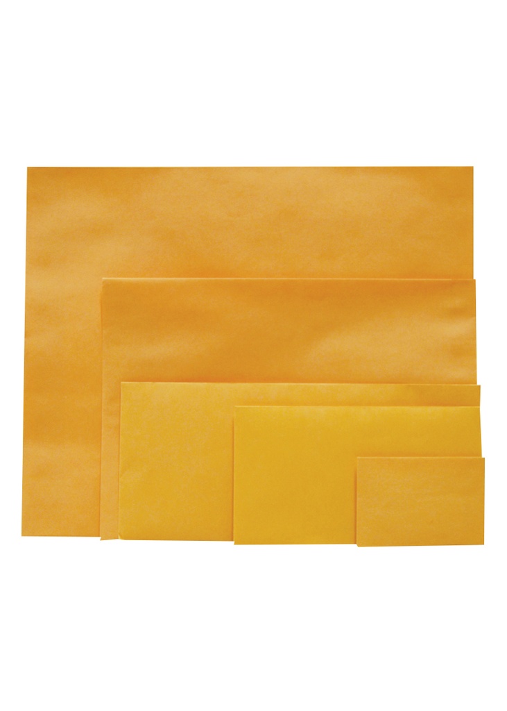 Kraft Envelopes 3 3/8X2 3/8  Sold in pk 50