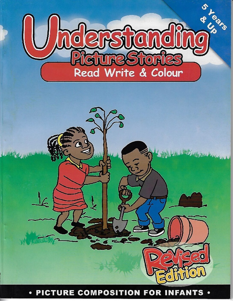 Understanding Picture Stories 
