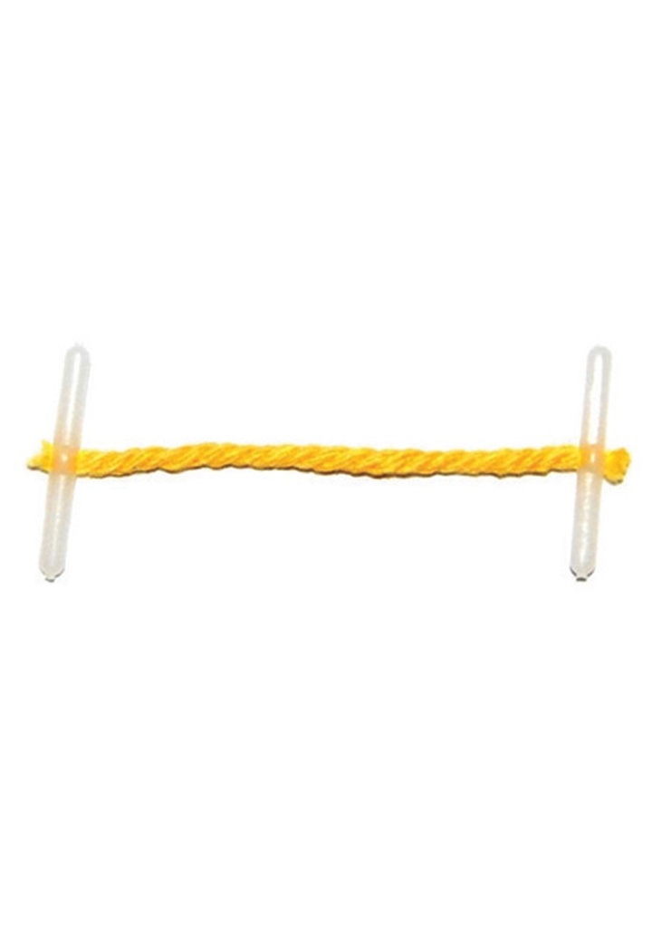 Treasury Tags 2" 51mm Plastic Ends