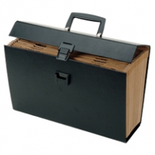 Exp. Filing Case 15x10" 19pkt w/Index EAGLE