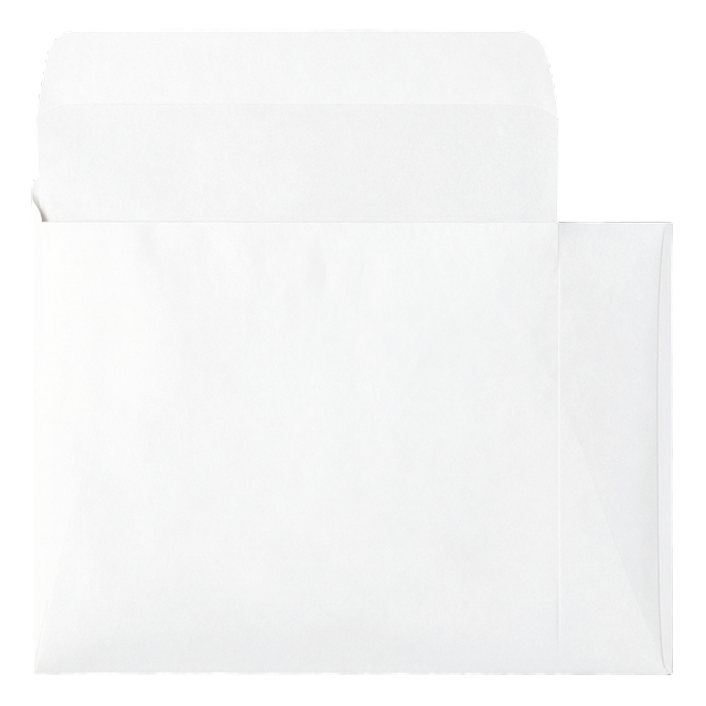 Carib Isle White Env. 4 1/8x9 1/2" Peel & Seal 100g SOLD 50pk Only 