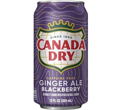 Canada Dry BLACKBERRY GINGERALE 355ml Can - Each - (24/ctn)