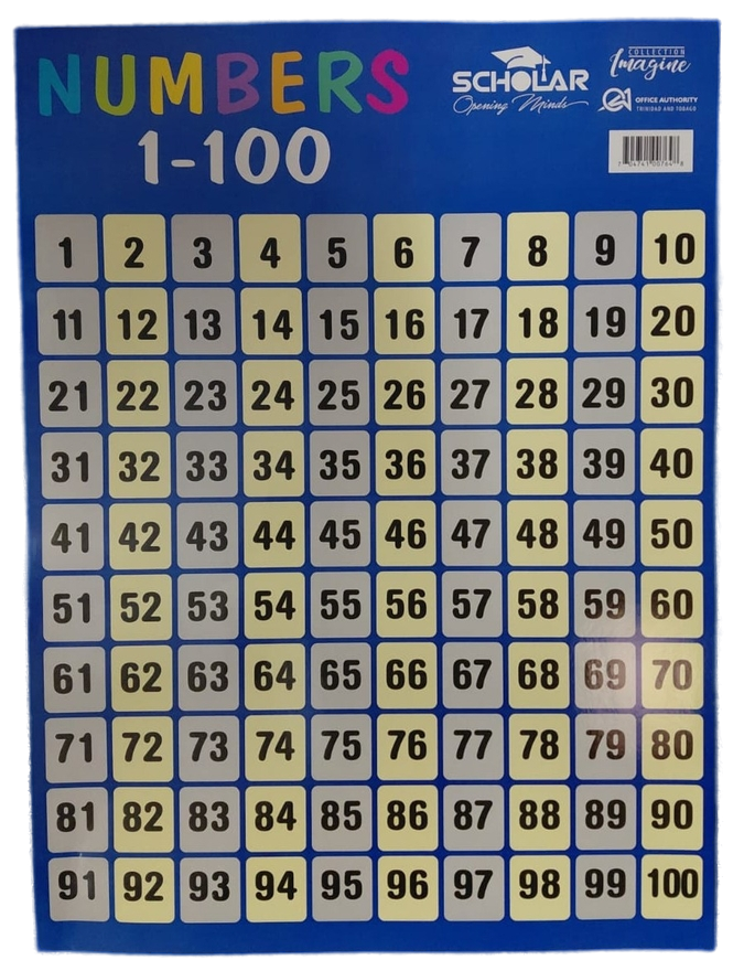Scholar Chartlets 18x24" - NUMBERS 1-100 - (50/pk)