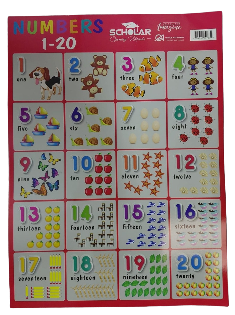 Scholar Chartlets 18x24" - NUMBERS 1-20 - (50/pk)