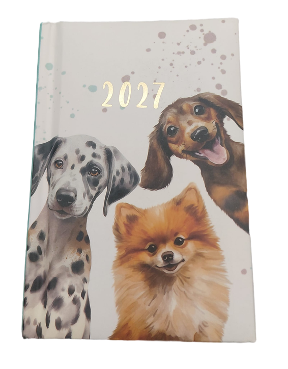 Diary POCKET WTV 2027 (8 Designs) #0330FSC