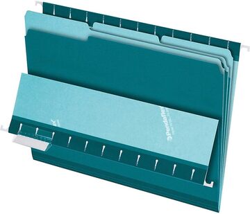 [ESFFLSTE] Pendaflex File Folders L/S TEAL #4210 - Sold Singular