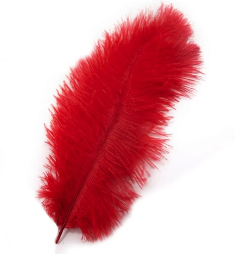 [MY24041] Feathers Ostrich Red 