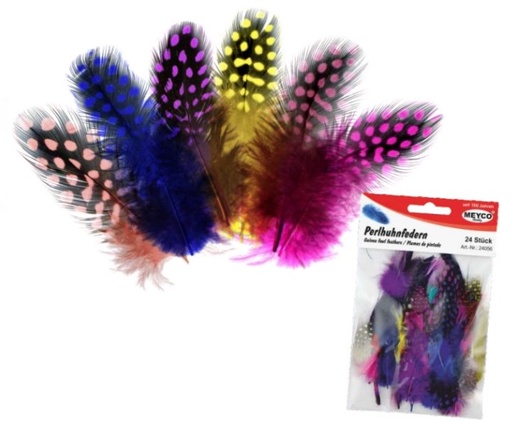 [MY24056] Feathers Guinea Fowl Asst - Sale