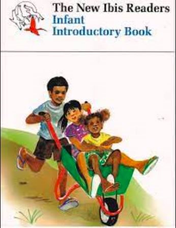 [HG034563] New IBIS Reader Introductory Book 