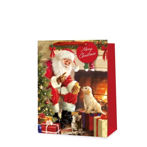 [SDX9419A] XMAS Gift Bag MED #X9419A/FSC (Traditional Santa)