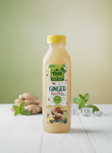 [TN274804] Taste Of Nature GINGER 16oz Juice